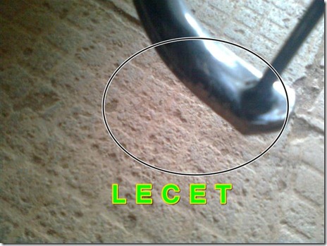 lecet (Small)