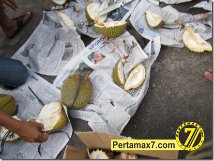 pesta durian pertamax7.com 028 (Small)