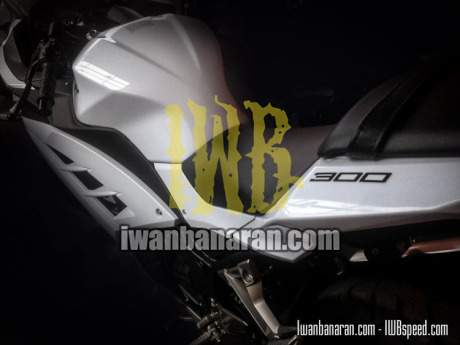 Kawasaki-Ninja300_Indonesia 2015