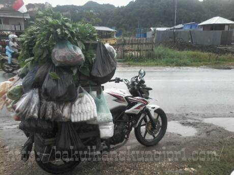 Dimuati Sayur lebih dari 200 KG, Rangka Tralis Honda CB150R patah di Papua 00 pertamax7.com