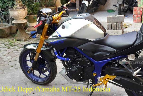Modifikasi Yamaha MT25 USD